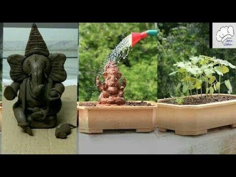 Eco friendly Plant ganesha making (part -1). how to make plant vinayaka. vinayaka chavithi 2018