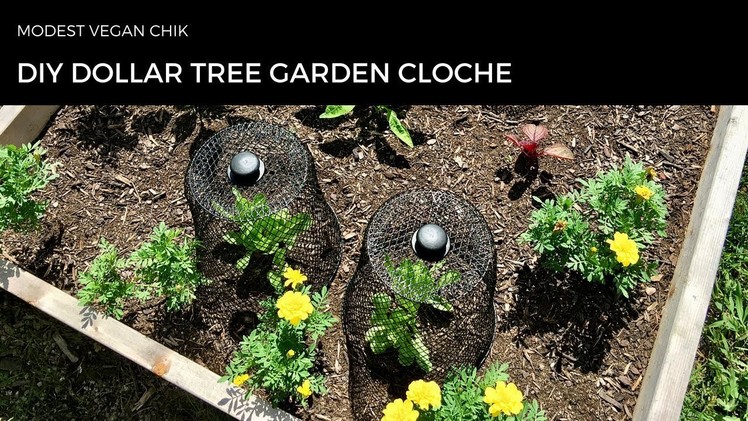 DIY Dollar Tree Garden Cloche | Two Dollar Project