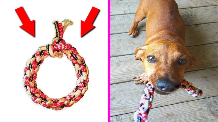 DIY- toy for dogs from old laces | crafts for pets |  DIY kids crafts and games