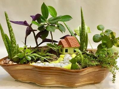 Cute Fairy Garden, DIY Fun Gardening Ideas with Indoor Plants for beginners step by step, India