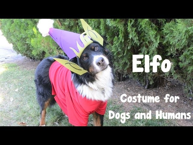 DIY Elfo Costume  for Dogs or Humans - Disenchantment