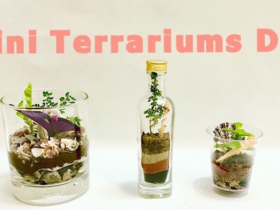DIY TERRARIUM BY INDIAN PLANTS, MINI GARDEN IN BOTTLE, GLASS, CUP WITH LAYERING FOR FREE BY PRIYA