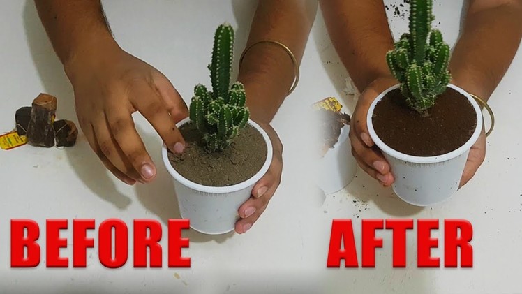 Fairy Castle Cactus Vase DIY with used tea bag