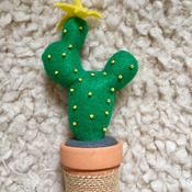 Felt cactus plant with terracotta pot