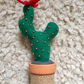 Felt cactus plant with terracotta pot