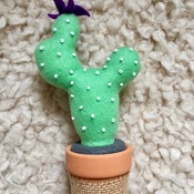 Felt cactus plant with terracotta pot