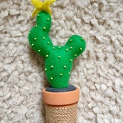 Felt cactus plant with terracotta pot