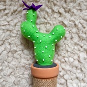 Felt cactus plant with terracotta pot