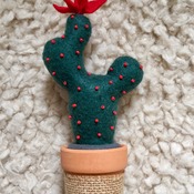 Felt cactus plant with terracotta pot