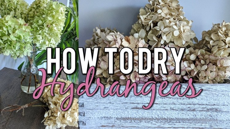 How to Dry Hydrangeas in Water Naturally-Beautiful Dried Flower Bouquet DIY!