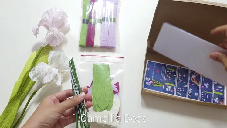 Crepe paper flower kit - unboxing the Iris flower kit