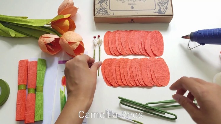 Crepe paper flower kit - Unboxing the tulip paper flower kit