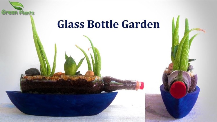 Cut Bottle Garden | HomeMade Modern DIY Planter | Glass Bottle Garden | Bottle Planter.GREEN PLANTS
