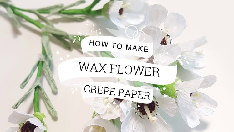 [GET FREE TEMPLATE!!] CREPE PAPER WAX FLOWER! FULL TUTORIAL :)