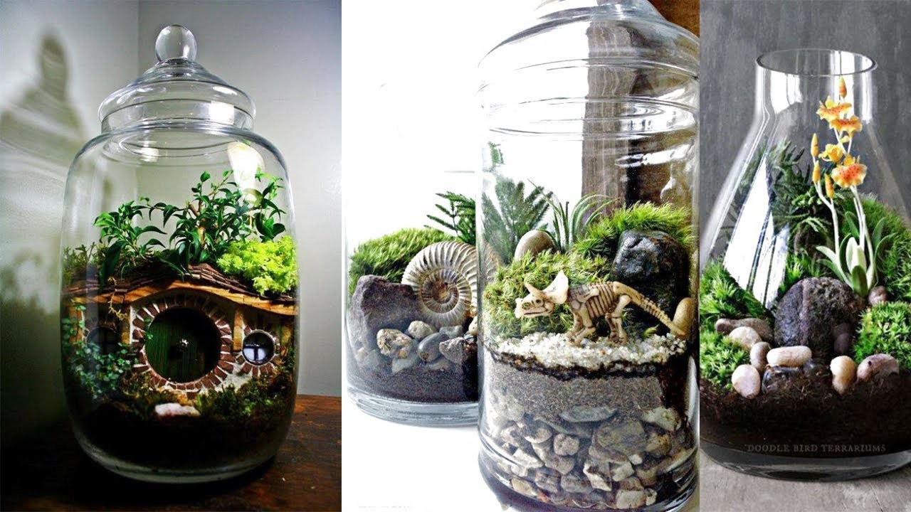 Creative Succulent Terrariums Ideas Easy Diy Glass Terrariums Diy Succulent Terrarium Ideas 2790