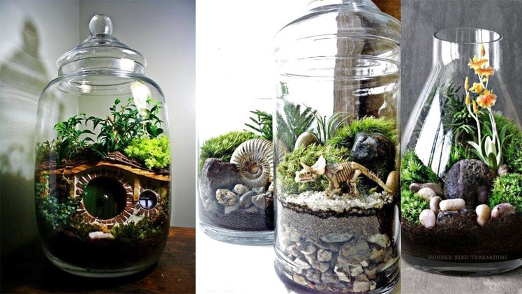 Creative Succulent Terrariums ideas | Easy DIY Glass Terrariums | DIY Succulent Terrarium Ideas
