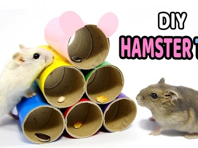 Making Pyramid For Hamster Playing From Toilet Paper Rolls- DIY Hamster