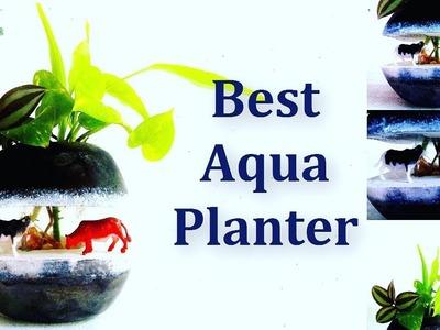 Best Aqua Planter | Cement & Glass Planter for Water Plants | Planter DIY Ideas.GREEN PLANTS