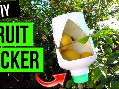 How To Make Fruit Picker Tool. Easy! -Jonny DIY