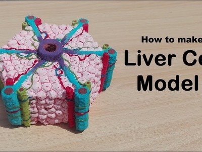 How to make Liver cell model | 3d thermocol.styrofoam projects