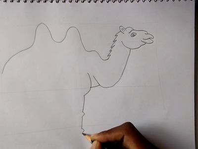 How to draw a Easy Cartoon camel for Kids step by step