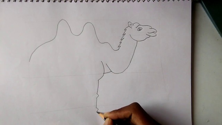 How to draw a Easy Cartoon camel for Kids step by step