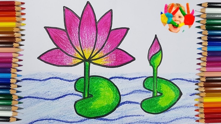 How to Draw a water Lily for kids???????????? (very easy drawing step by step)