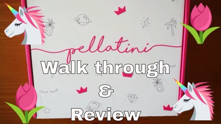 INSTAGRAM MADE ME BUY IT?! | Pellatini Planner Walk through and Review