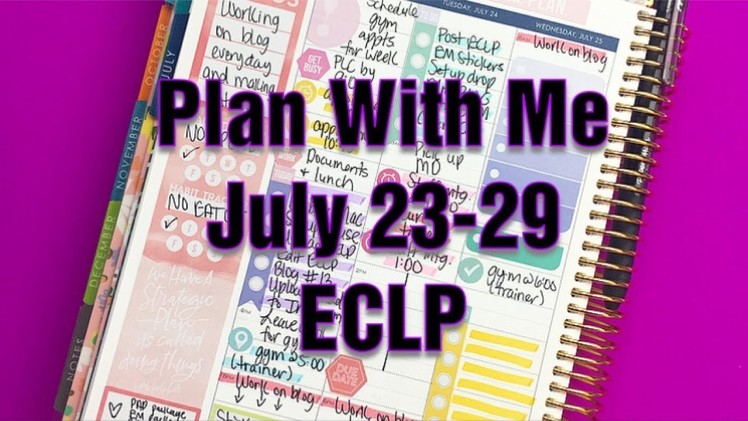 Plan With Me | July 23-29 | Erin Condren Hourly Life Planner