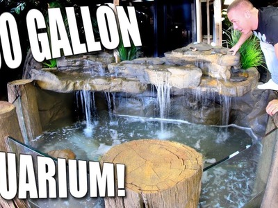 900 GALLON TURTLE AQUARIUM SETUP with KING OF DIY FOR REPTILE ZOO!! | BRIAN BARCZYK