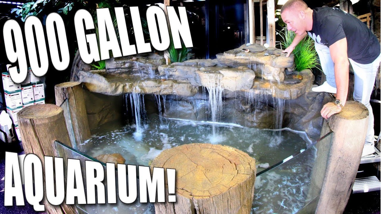 900 GALLON TURTLE AQUARIUM SETUP with KING OF DIY FOR REPTILE ZOO ...