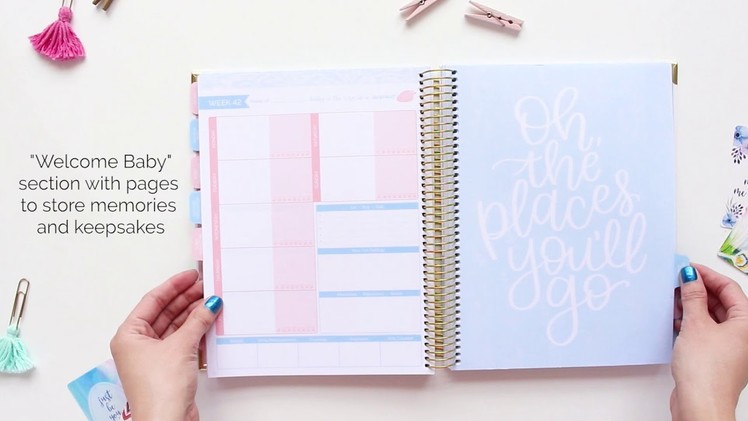 Bloom daily planners® - Pregnancy and Baby's First Year Planner Walkthrough