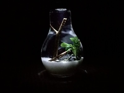 DIY aquarium in a bulb jar