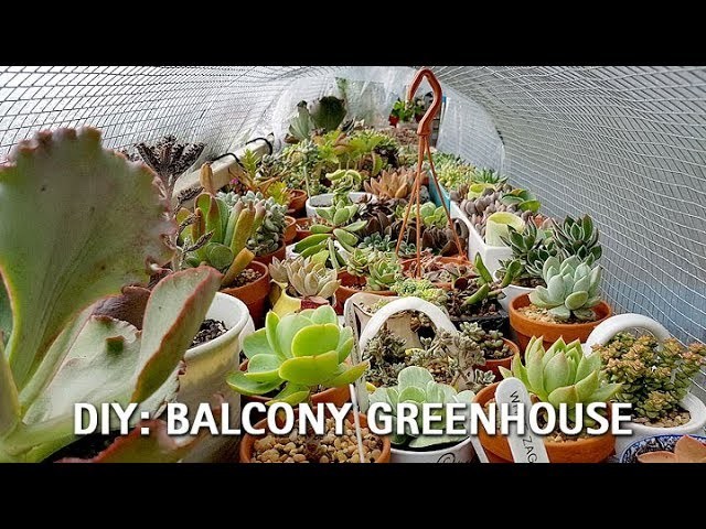DIY Balcony Greenhouse Guide