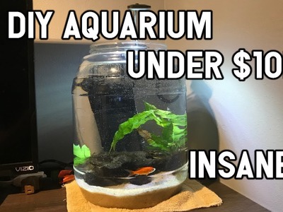 INSANE DIY FISH AQUARIUM FOR UNDER $10! - How to Make an Easy Fish Aquarium for Under $10