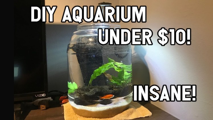 INSANE DIY FISH AQUARIUM FOR UNDER $10! - How to Make an Easy Fish Aquarium for Under $10