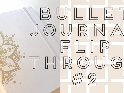 Bullet Journal Flip Through #2