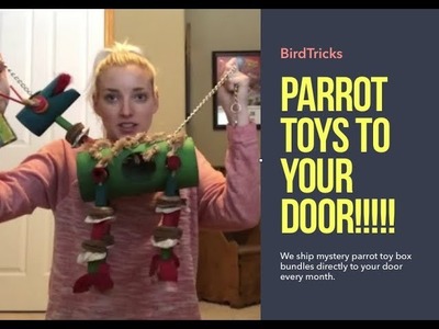 Bird Toy Subscription Boxes!! | Parrot Toys to my Door EVERY Month