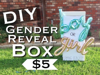 DIY $5 GENDER REVEAL BOX + OTHER IDEAS!