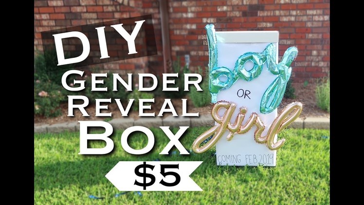 DIY $5 GENDER REVEAL BOX + OTHER IDEAS!
