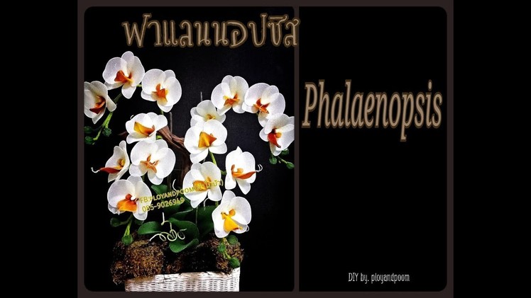 How to make (ฟาแลนนอปซิส (phalaenopsis orchids) nylon.stocking flower by ployandpoom
