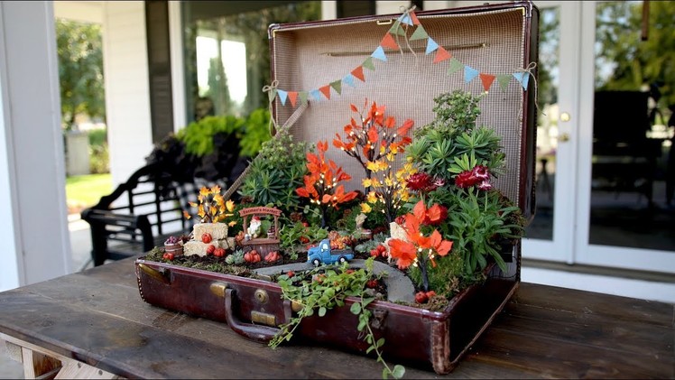 Old Suitcase Turned Pumpkin Patch Miniature Garden! ????????. Garden Answer
