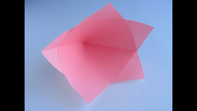 Origami Azalea