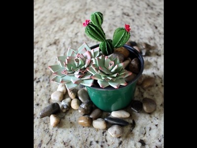Succulents and Cactus Making by Archana Joshi
