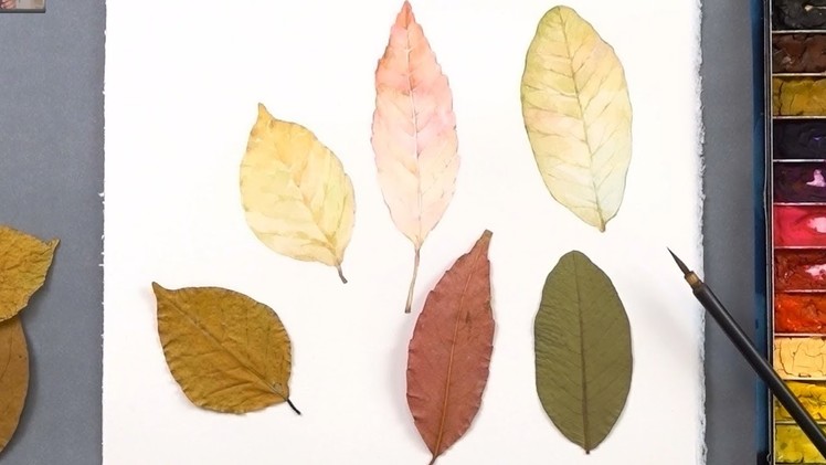 Learn How to Paint Autumn Leaves Colors for Beginners