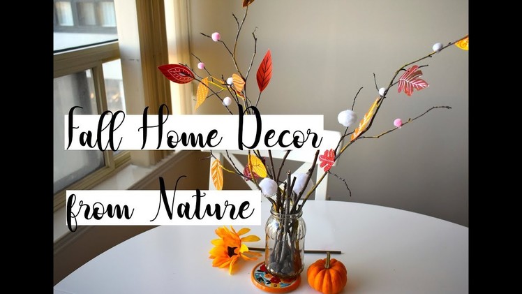 DIY Fall Home Decor with Natural Elements