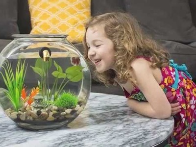 NoClean Aquariums Self-Cleaning Fishbowl Kickstarter Video - GravityFlow2