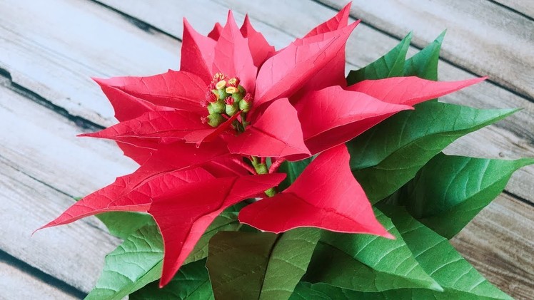 ABC TV | How To Make Poinsettia Paper Flower - Craft Tutorial