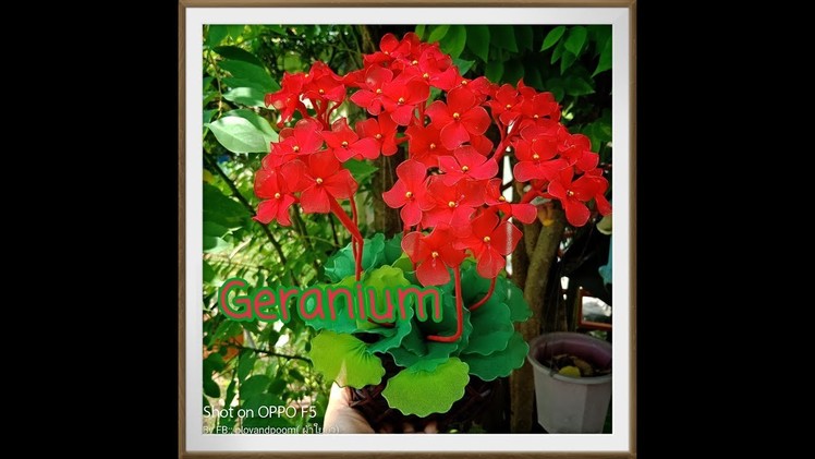 เจอราเนียม.Geranium How to make nylon.stocking flower by ployandpoom
