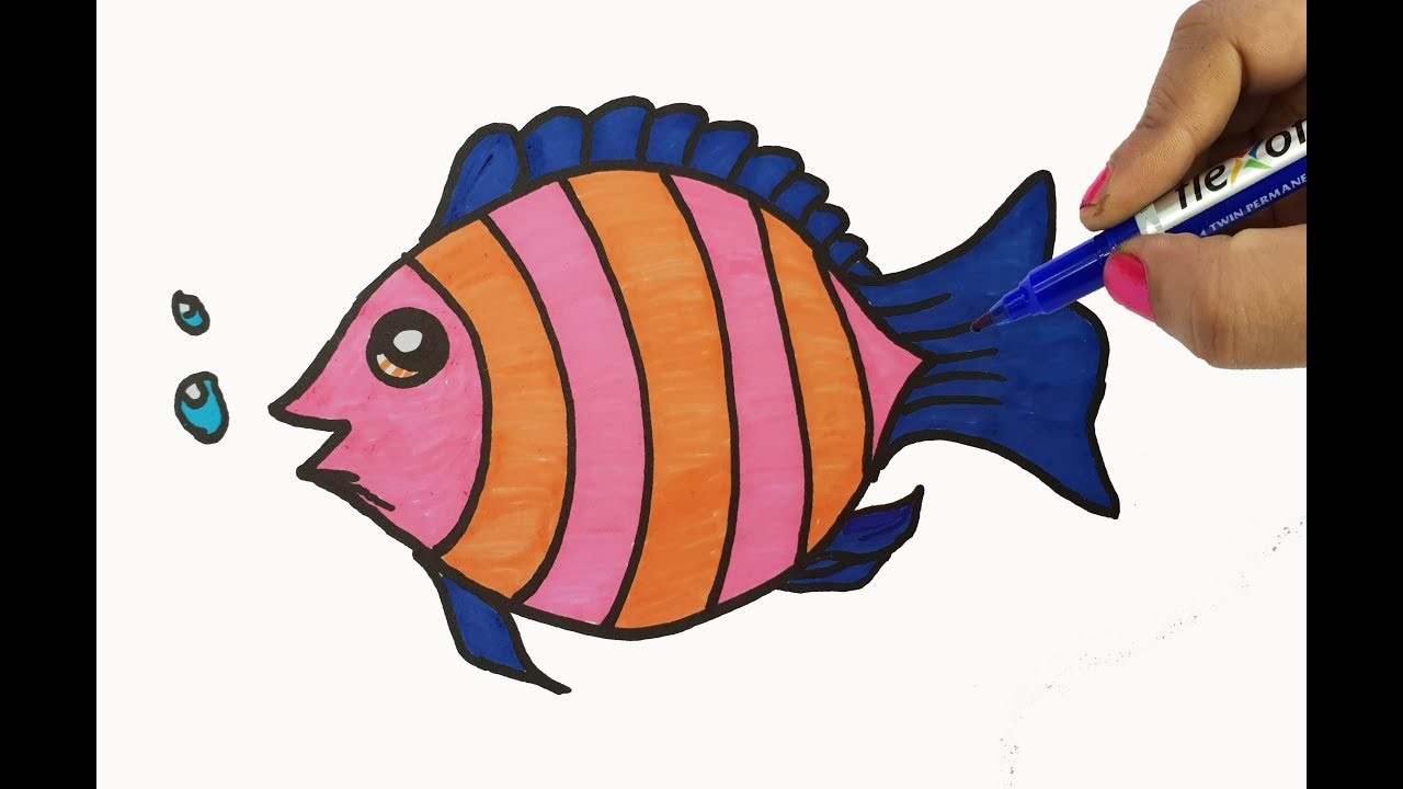 Coloring Fish Drawing For Kids Colors With Fish Shapes Easy Cute Draw With Hand Pen